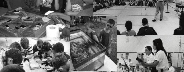 TEF Picture Album